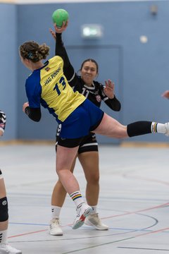 Bild 276 - F HSG Pinnau2 - Rellinger TV2 : Ergebnis: 27:20